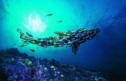 深圳廢水檢測機構 深圳廢水檢測機構