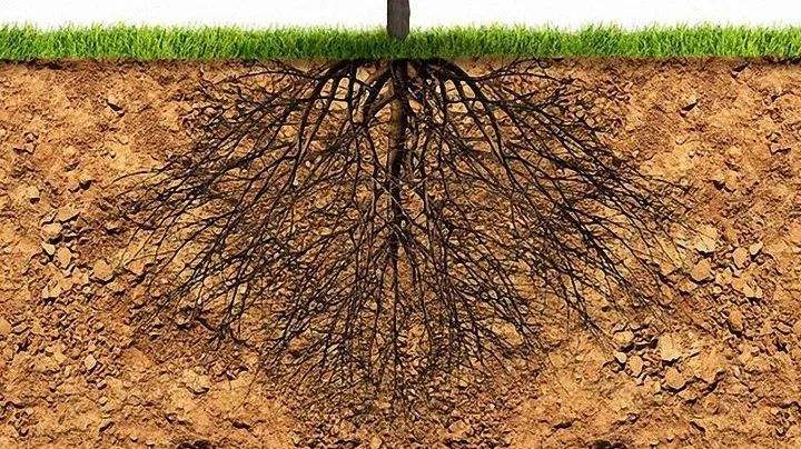 土壤環境檢測 土壤環境檢測