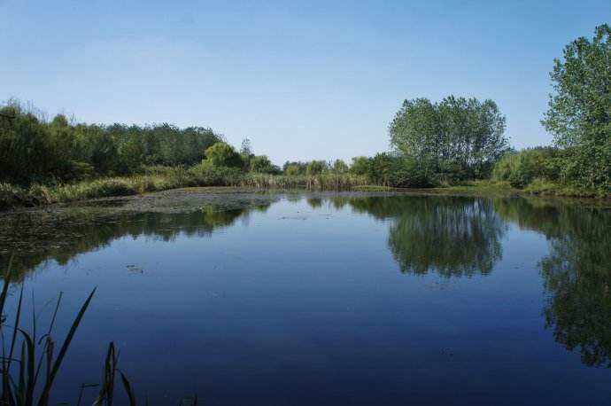 水質檢測機構 水質檢測機構