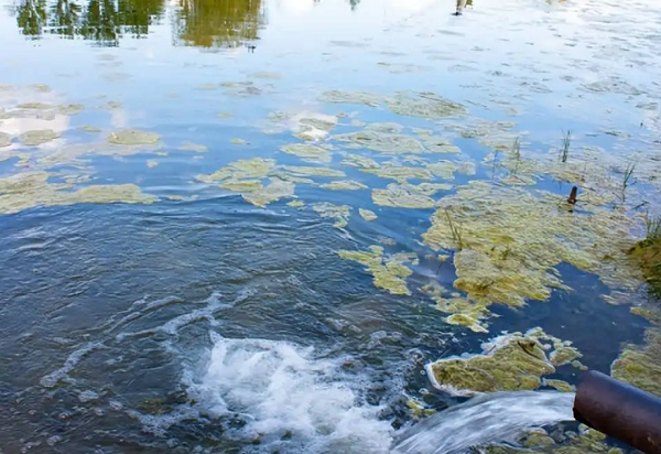 深圳水質檢測 深圳水質檢測
