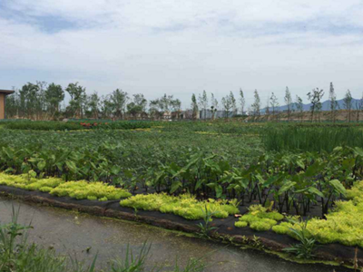 深圳水質檢測 深圳水質檢測