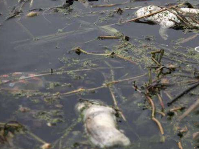 深圳水質檢測 深圳水質檢測