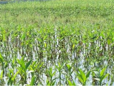 深圳水質檢測 深圳水質檢測