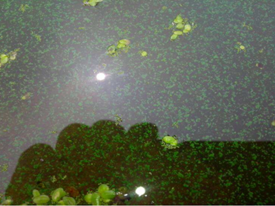 深圳水質檢測機構 深圳水質檢測機構