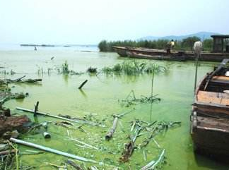 深圳水質檢測 深圳水質檢測