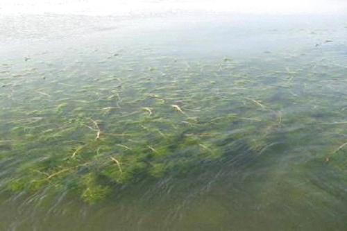 深圳水質檢測機構 深圳水質檢測機構