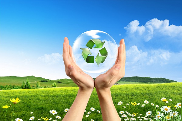 環境影響評價報告 環境影響評價報告