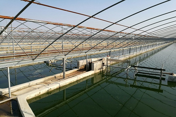 漁業養殖水質檢測 漁業養殖水質檢測